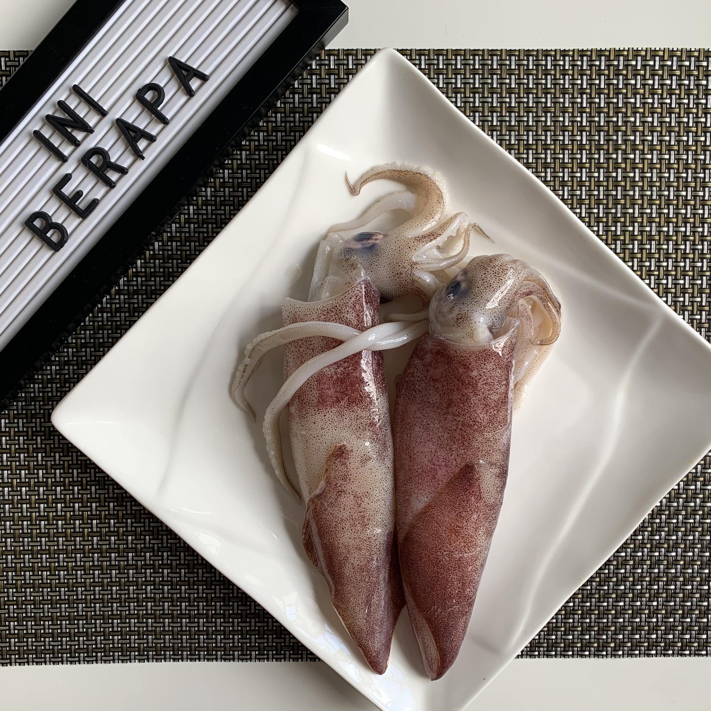 S02 - Fresh Squid / Sotong Segar