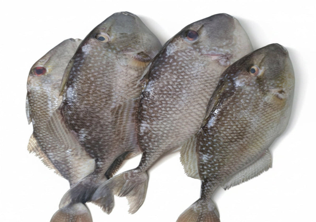 F29 - Fresh Ikan Ayam Ayam