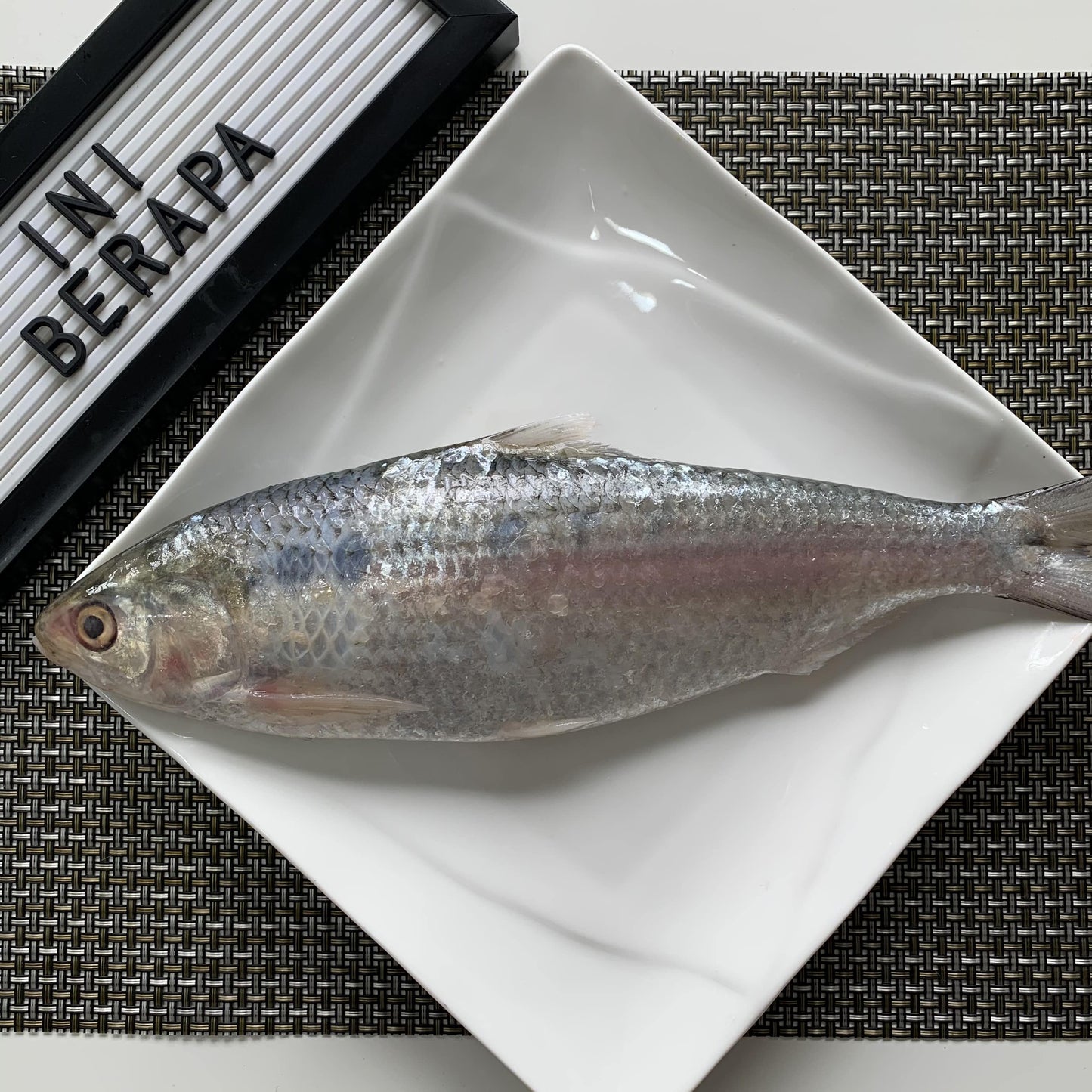 F31 - Fresh Ikan Terubok