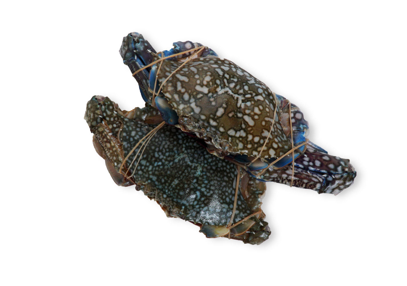 T15 - Fresh Flower Crab Bundle