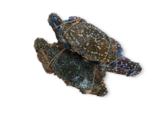 SD03 - Fresh Flower Crab / Ketam Bunga Segar