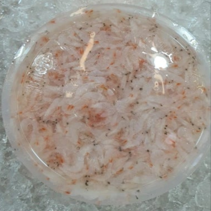 SO19 - Fresh Udang Geragau