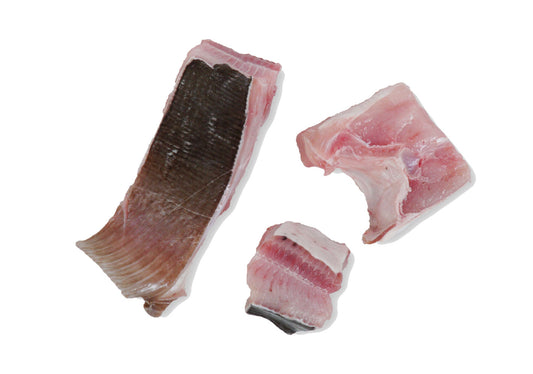 SDF02 - Stingray / Pari