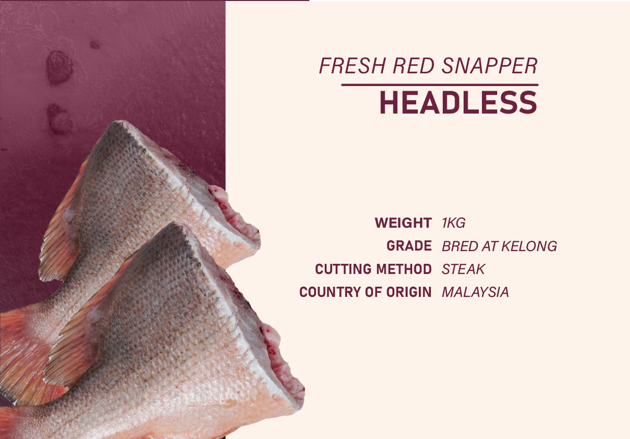T03 - Red Snapper and Seabass Package