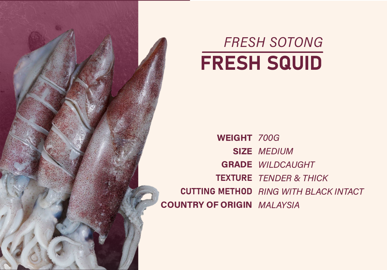 T05 - Seabass Package