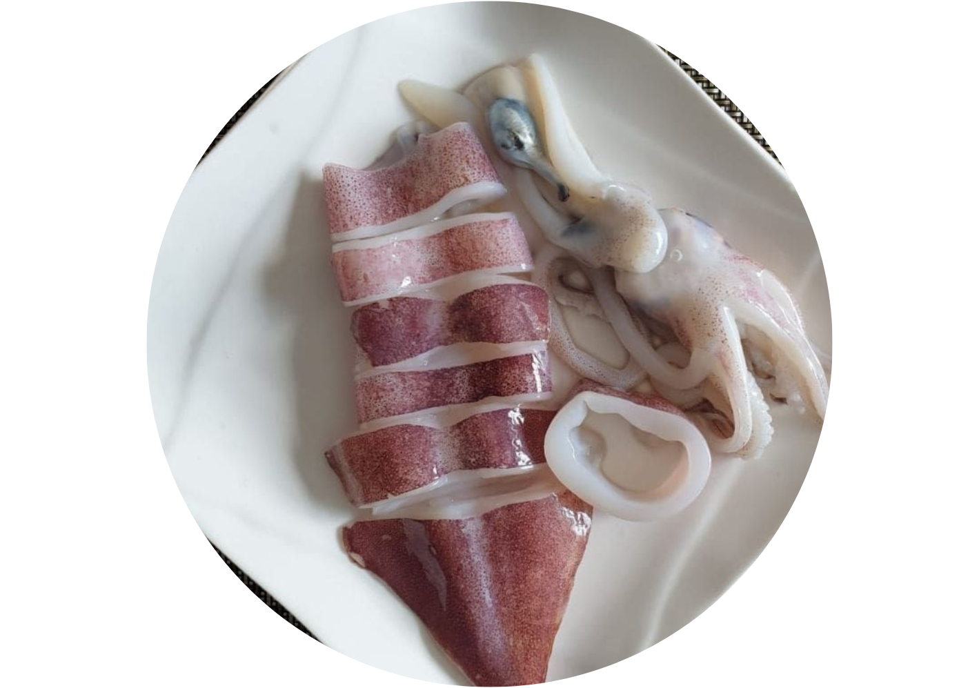 S02 - Fresh Squid / Sotong Segar