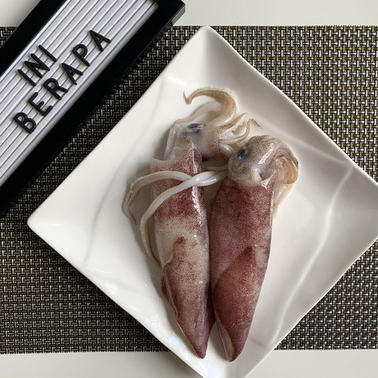 S02 - Fresh Squid / Sotong Segar