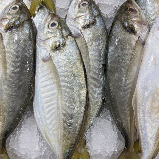 F32 - Ikan Selar Emas [5 - 7 pieces per kg]