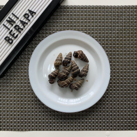 S08 - Chut Chut / Siput Sedut [With Cutting]