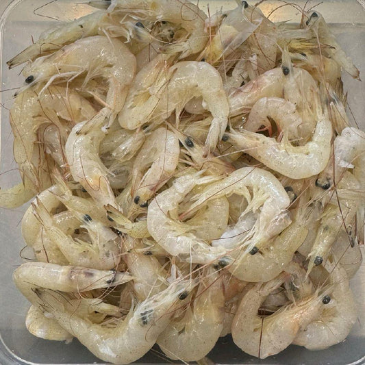 S16 - Udang Laut Rencah (Size XS)