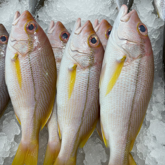 F33 - Ikan Mentimun [5 - 7 pieces per kg]