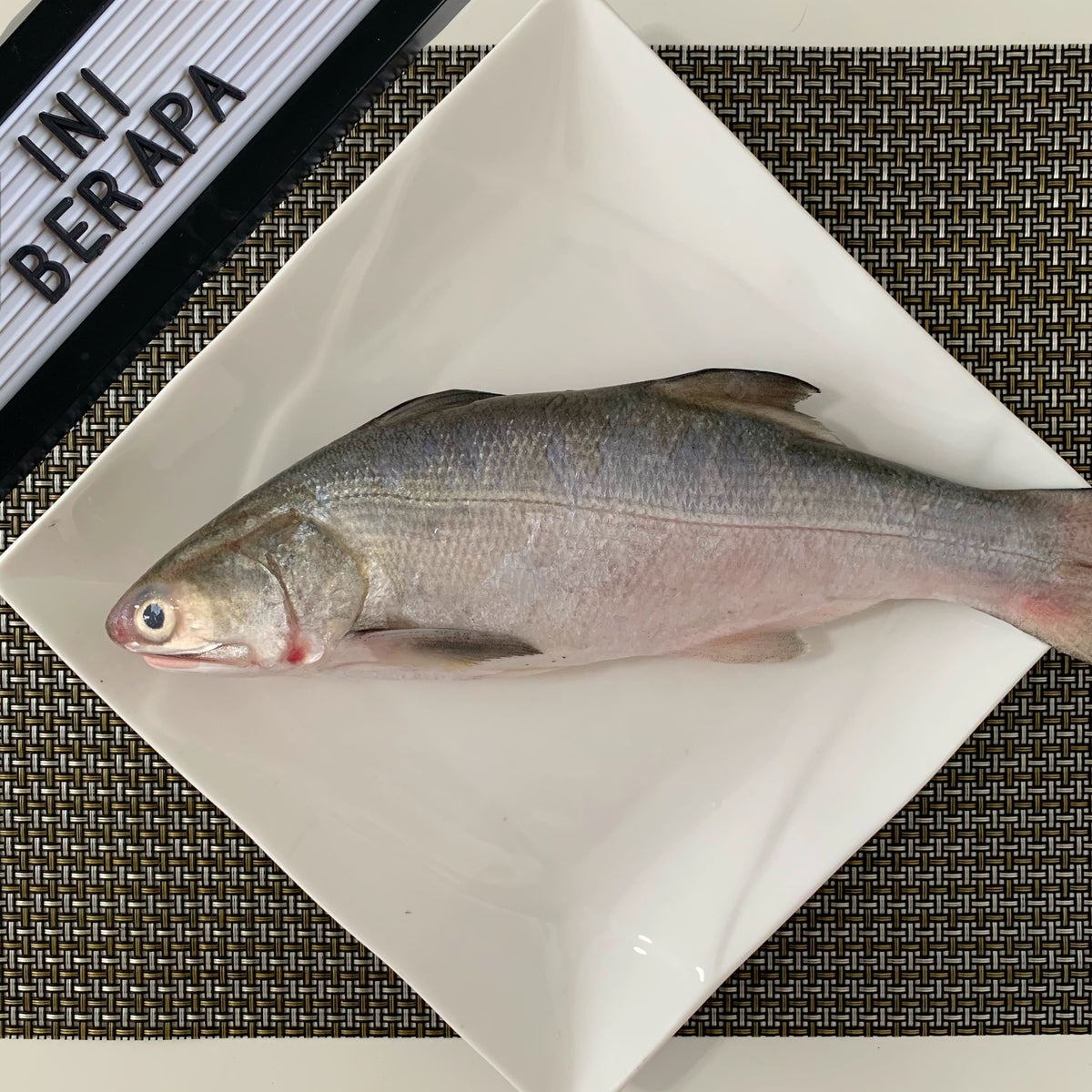 F34 - Fresh Four Finger Threadfin / Ikan Senangin