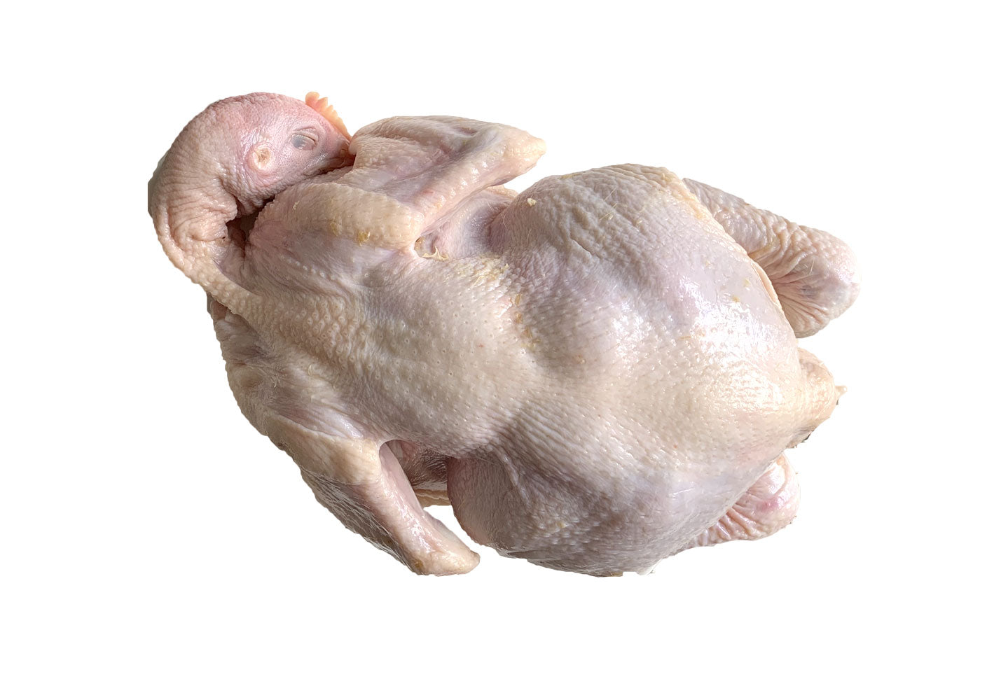 C02 - Fresh Whole Chicken / Ayam Segar