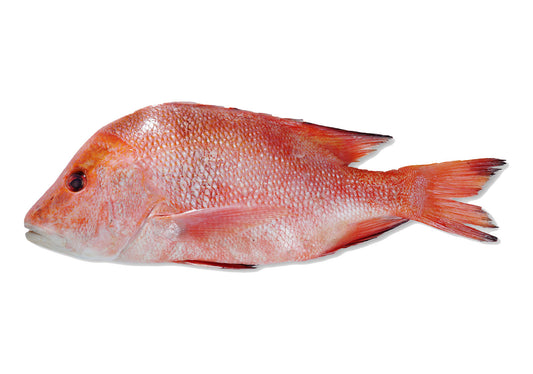 Ikan Merah Biasa (1.2 - 1.5kg) - price range from $23 to $27