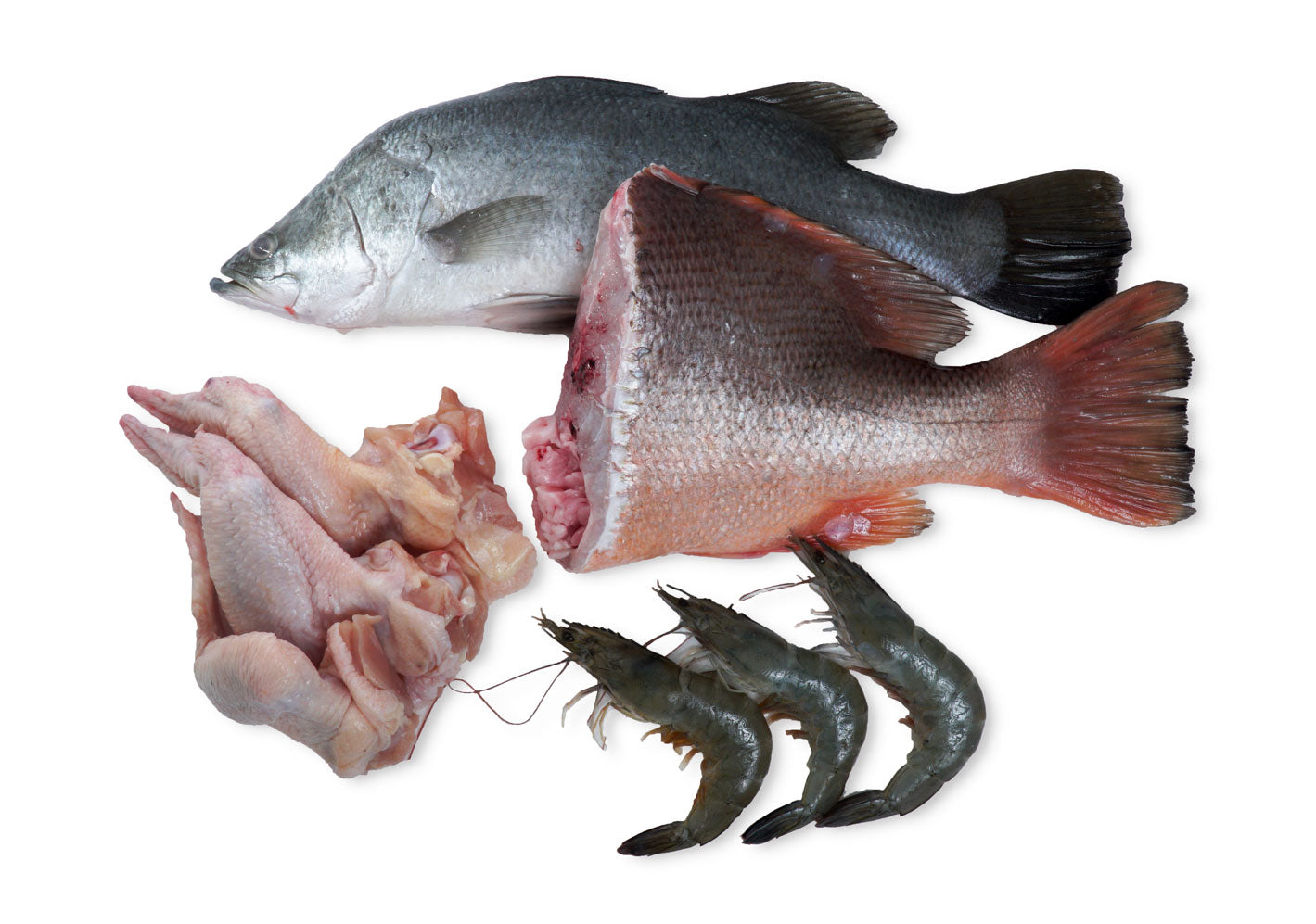 Red Snapper and Seabass Package