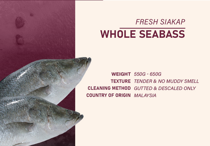 T03 - Red Snapper and Seabass Package