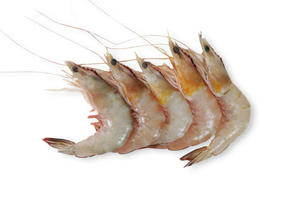 CM04 - Combo Seafood