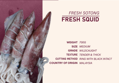 T05 - Seabass Package