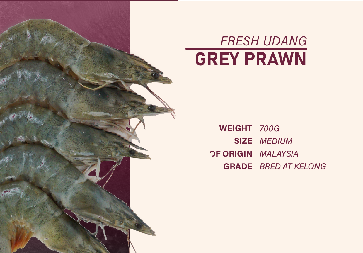 T05 - Seabass Package