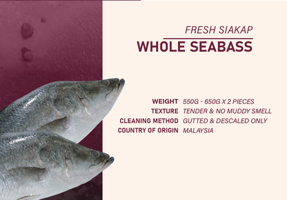 T05 - Seabass Package