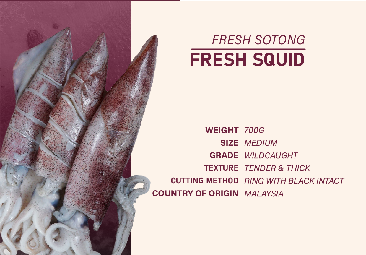 SDT04 - Pari / Stingray Package