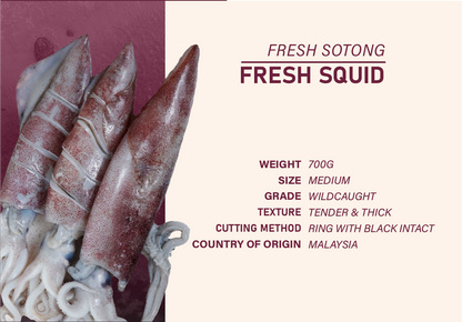 SDT04 - Pari / Stingray Package