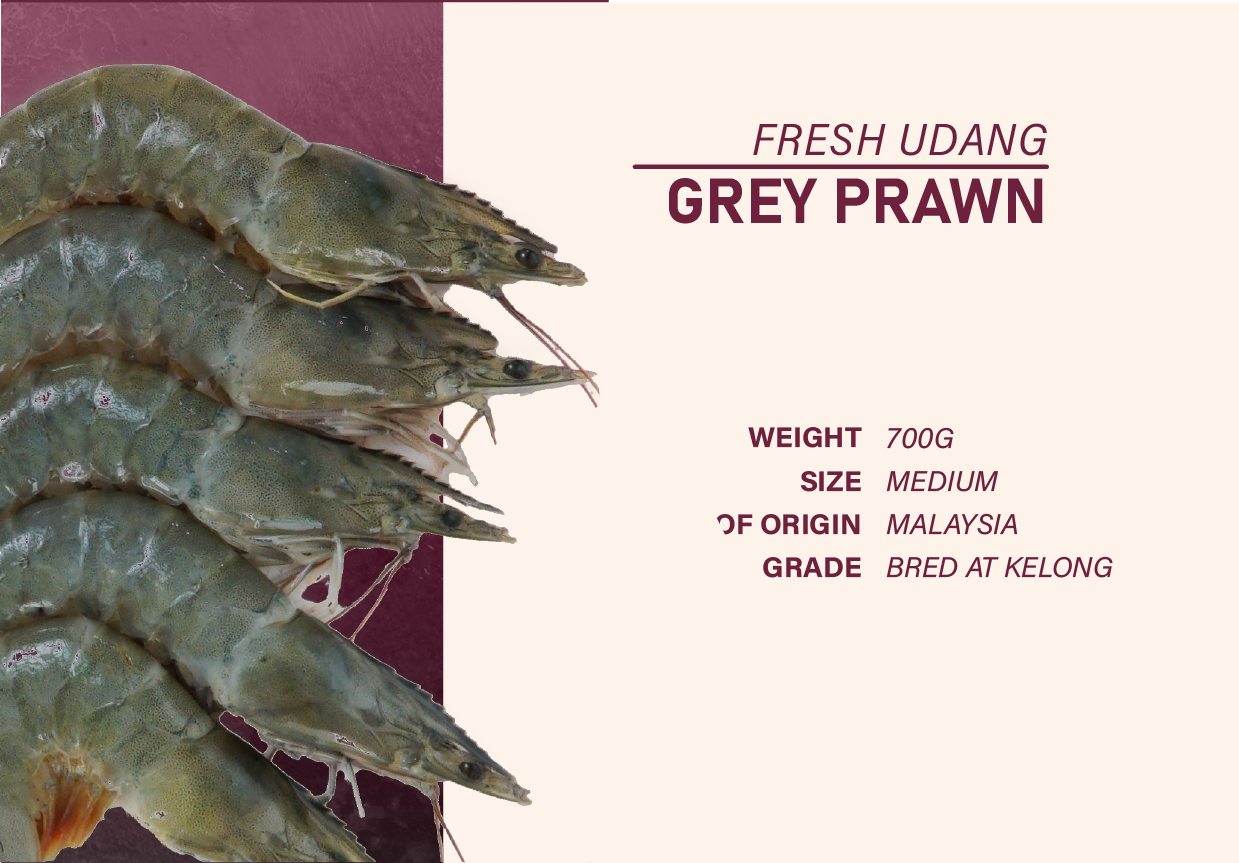 SDT04 - Pari / Stingray Package